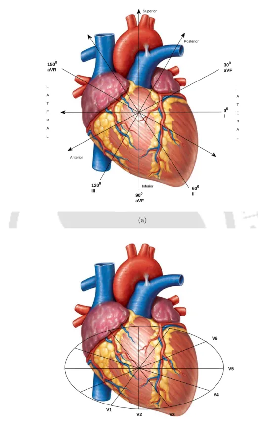 Multi-channel/Multi-lead ECG - compressed sensing framework for multi ...