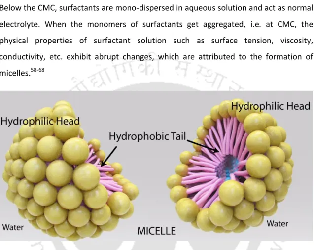 Figure 1.10 Pictorial presentation of a typical spherical micelle showing the arrangement of   the surfactants