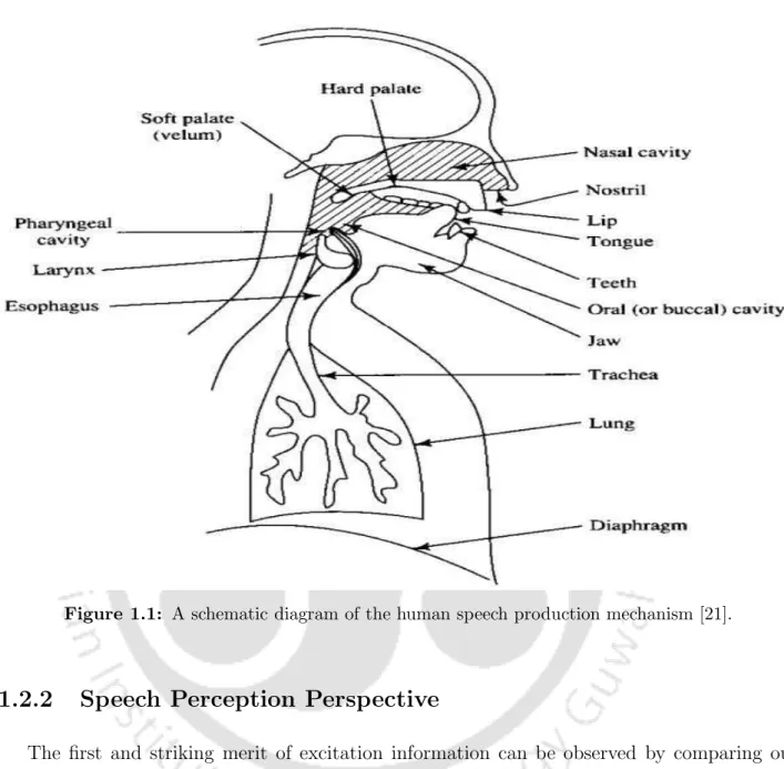 Subsegmental, Segmental And Suprasegmental Processing Of LP Residual