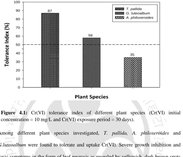 Figure  4.1:  Cr(VI)  tolerance  index  of  different  plant  species  (Cr(VI)  initial  concentration = 10 mg/L and Cr(VI) exposure period = 30 days)