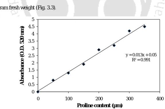 Figure 3.3:  Standard curve of proline concentration vs. absorbance at 520 nm used in the  estimation of proline content
