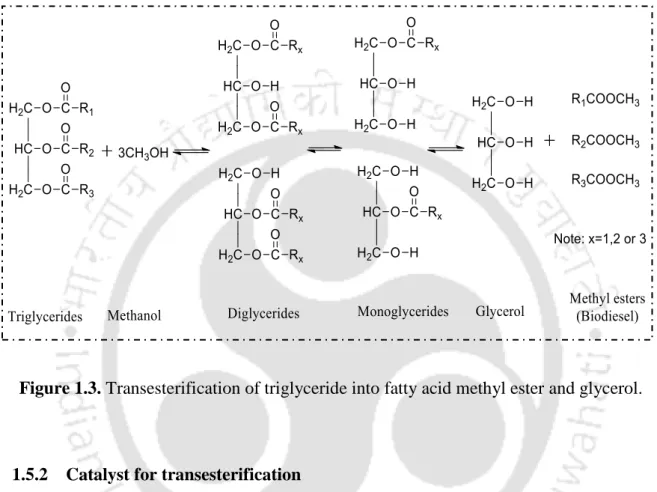 Figure 1.3. Transesterification of triglyceride into fatty acid methyl ester and glycerol