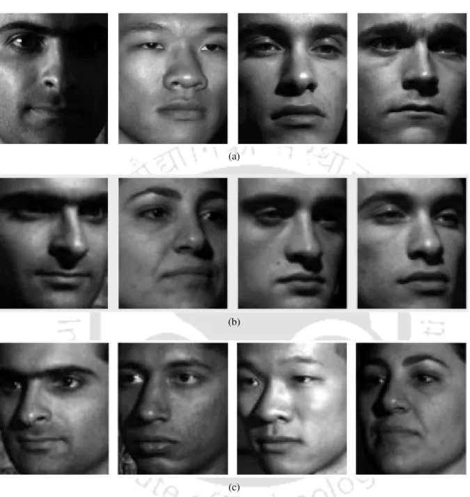 Figure 2.10: Examples of (a) near front pose faces and (b) non-frontal faces used to test the performance of the proposed method in detecting LEs from faces with poses different from the frontal pose.