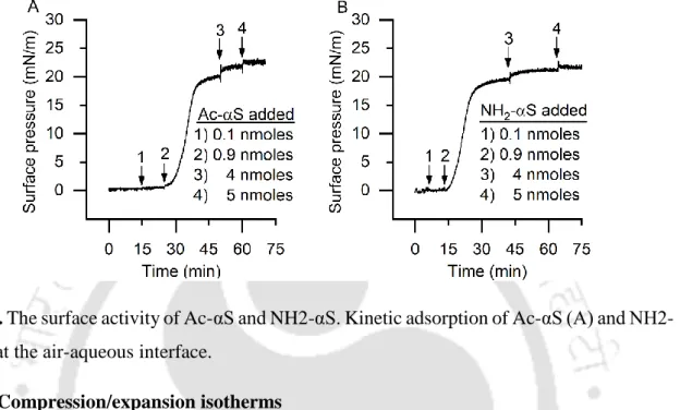 Fig. 3.2. The surface activity of Ac-αS and NH2-αS. Kinetic adsorption of Ac-αS (A) and NH2- NH2-αS (B) at the air-aqueous interface