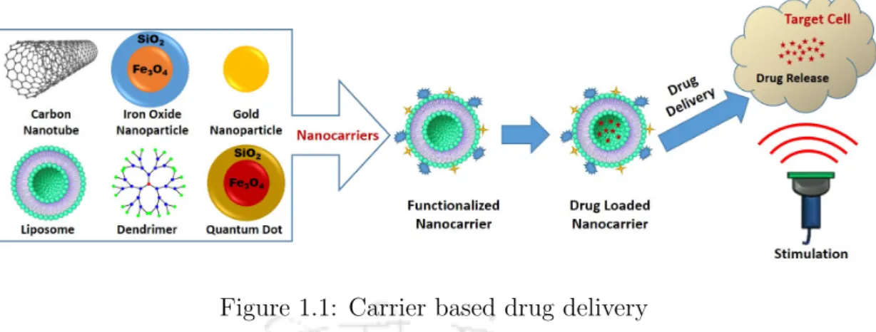 Figure 1.1: Carrier based drug delivery