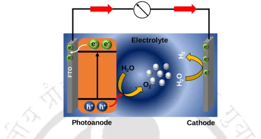 Figure  1.3.1  Schematic  representation  shows  the  basic  diagram  for  photoelectrochemical  water  splitting  to  produce O 2  at photoanode and H 2  at the cathode 