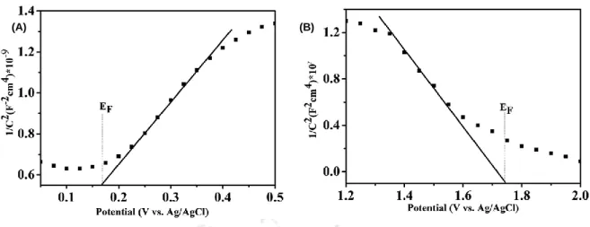 Figure 2.6.2 A typical Mott-Schottky plot for semiconductor photoanode, showing the  nature of conductivity,  taken from (Ref