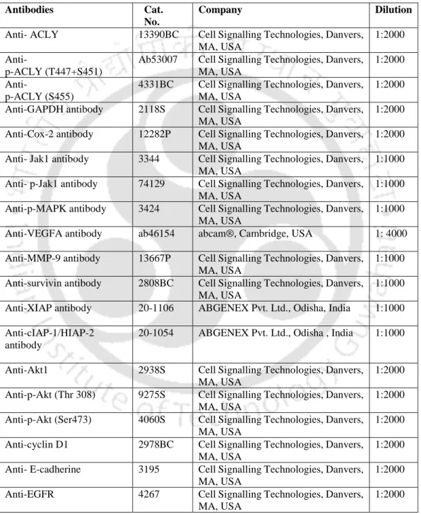 Table  4.2.  Details  of  the  primary  and  secondary  antibodies  used  in  Western  blot  analysis 