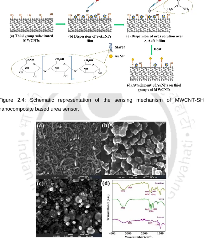 Figure  2.4:  Schematic  representation  of  the  sensing  mechanism  of  MWCNT-SH  nanocomposite based urea sensor