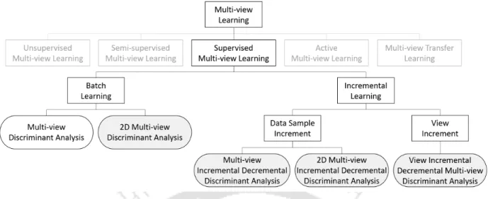 Figure 1.5: The placement of presented methods in the multi-view learning paradigm.