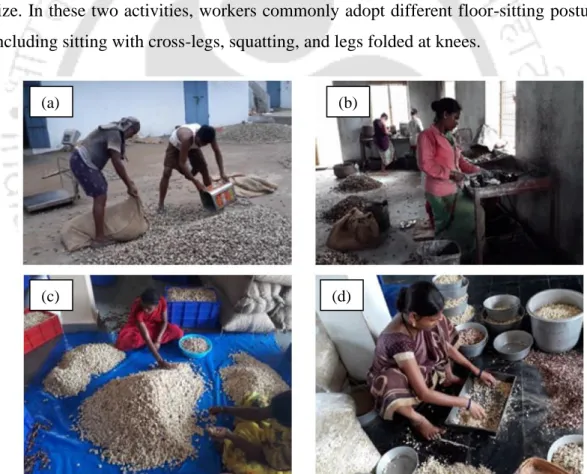 Figure 2.1 Typical work activities of small and medium-scale cashew nut processing  mills: (a) boiling, (b) shelling, (c) peeling, (d) grading