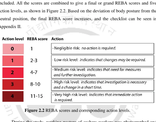 Figure 2.2 REBA scores and corresponding action levels. 