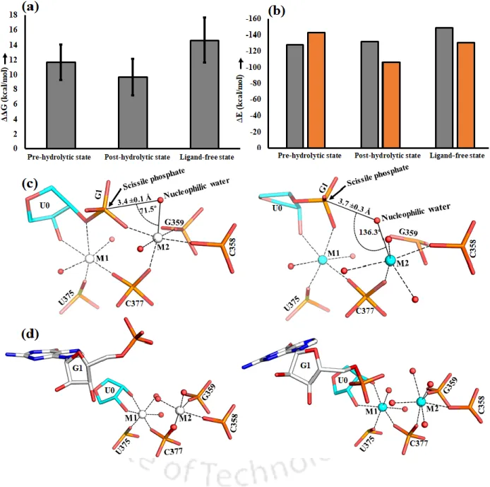 Figure  3.  (a)  Relative  binding  free  energy  (G,  estimated  by  classical  MD  simulation)  of  divalent  ion  (Mg 2+   vs