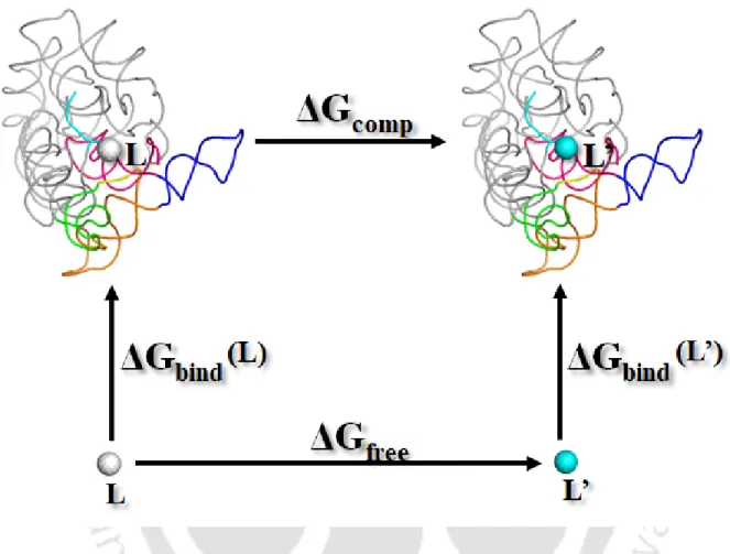 Figure 1.10: Thermodynamic cycle and relative binding free energy. Vertical legs correspond to  the binding, horizontal legs correspond to the alchemical transformation  (L  → L’) either in the  complex (upper arm) or free in water (lower arm)