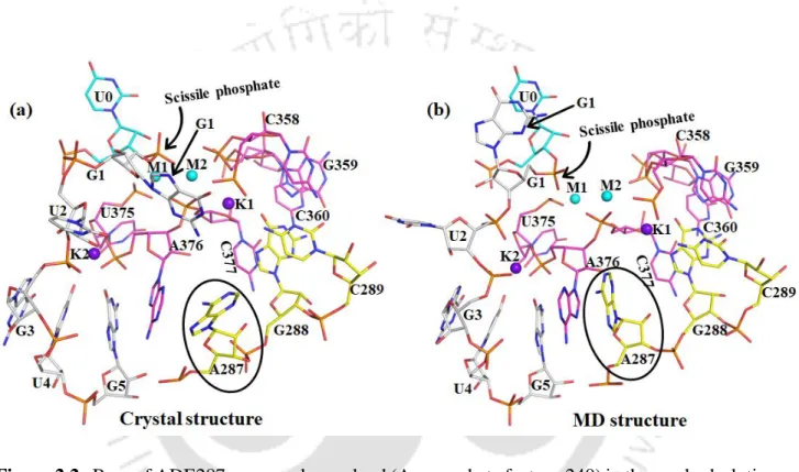 Figure 2.2.  Base of ADE287 was poorly resolved (Average beta factor ~240) in the pre-hydrolytic  intron state, PDB 4FAQ
