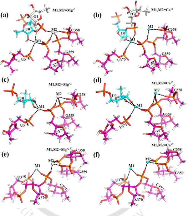 Figure  3.3.  Local  environment  around  M1,  M2  sites  considered  for  quantum  chemical  calculations