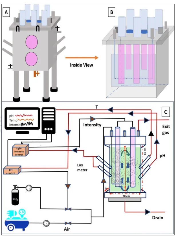 Fig  6.2  Schematic  diagram  of  50  L  APBR  showing  working  principle  of  the  bioreactor  including  pH based CO 2  feeding  system and mixing  pattern