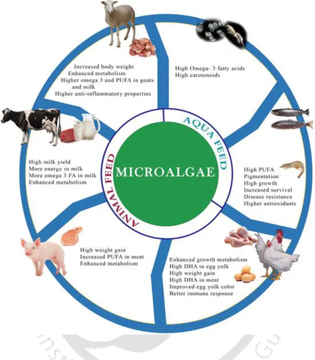 Fig  2.6  Graphical  outline  of  the  diverse  application  of  microalgal  feed  and  its  advantages  (reproduced  from  Dineshbabu,  Gnanasekaran,  Gargi  Goswami,  Ratan Kumar,  Ankan  Sinha,  and Debasish Das