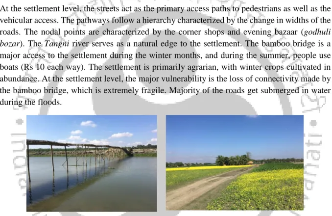 Figure 4.14 Bamboo Bridge a major connectivity to the settlement and mustard  cultivation in the settlement 