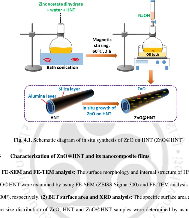 Fig. 4.1. Schematic diagram of in situ synthesis of ZnO on HNT (ZnO@HNT)  4.3  Characterization of ZnO@HNT and its nanocomposite films 