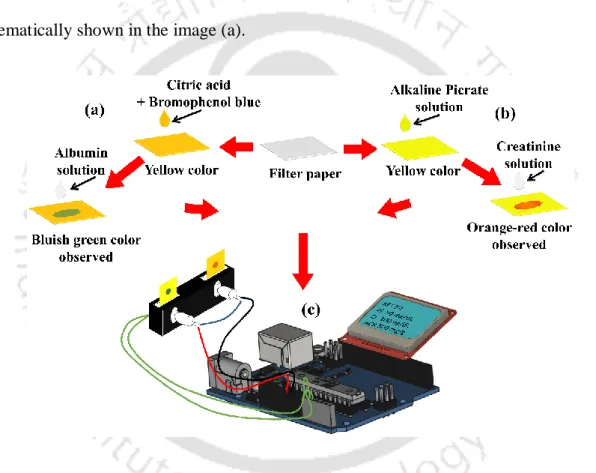 Figure  4.1:  Images  (a)  and  (b)  are  schematic  illustrations  of  the  steps  involved  in  the  fabrication  of  the  paper-sensors  for  quantitative  detection  of  albumin  and  creatinine