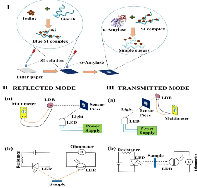 Figure 2: (I) Schematic illustrations of the steps  to fabricate paper-sensor. (II) Reﬂection  mode  –  images  (a)  and  (b)  show  the  experimental  setup  and  corresponding  circuit  diagram for resistance measurement