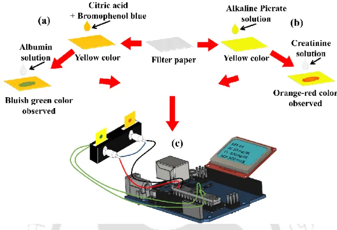 Figure 3: This schematic shows the fabrication process and illustration of working of the  sensors