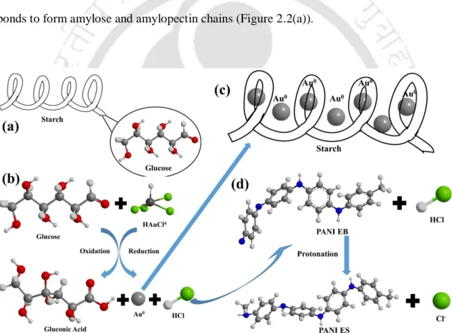 Figure  2.2:  Image  (a)  shows  starch  consisting  of  glucose  units.  Image  (b)  shows  the  reduction of the HAuCl 4  by glucose to form AuNPs