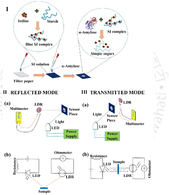 Figure 3.1: (I) Schematic illustrations of the steps to fabricate paper-sensor. (II) Reflection  mode  –  images  (a)  and  (b)  show  the  experimental  setup  and  corresponding  circuit  diagram for resistance measurement