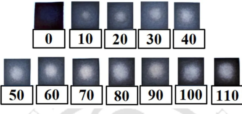 Figure  3.2:  Top  views  of  the  paper-sensors  in  which  the  numbers  indicate  the  concentration of α-amylase in units/litre (U/L) in the analyte