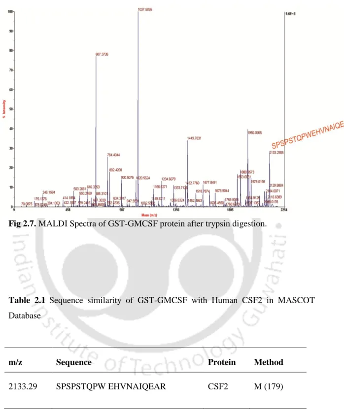Table  2.1 Sequence  similarity  of  GST-GMCSF  with  Human  CSF2  in  MASCOT  Database 