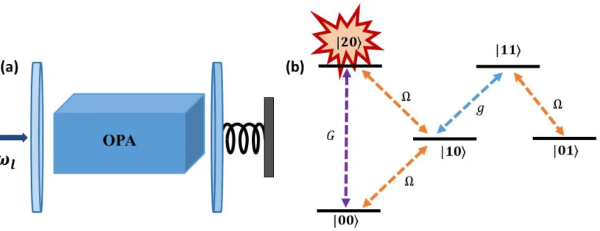Figure 4.6: (a) Schematic diagram of the optomechanical system with an OPA medium, (b) Transition paths of the system for quantum interference.