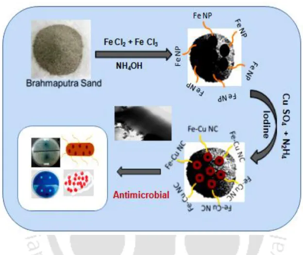 Figure 3.1.  Schematic representation of Fe-Cu nanocomposite synthesized on surface of sand  and their role in annihilation of clinical microbes.
