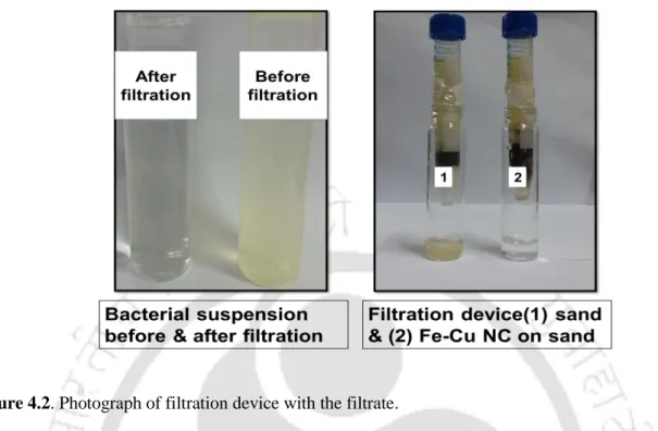 Figure 4.2. Photograph of filtration device with the filtrate.
