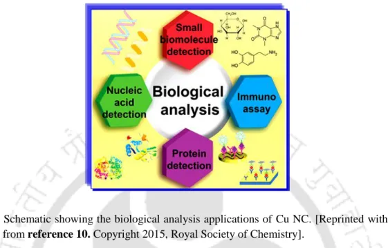 Figure 1.5 Schematic showing the biological analysis applications of Cu NC. [Reprinted with  permission from reference 10