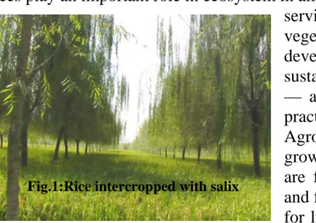 Table 1: Demand and supply of different tree produce in India  2000 