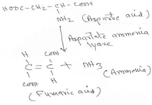 Fig. 11: Conversion of aspartic acid to fumaric acid                                 Proline        Arginine      Histidine     Glutamine 