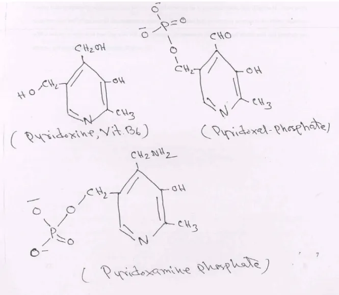 Fig. 2: Structure of pyridoxine (vitamin B 6 ), pyridoxal phosphate and pyridoxamine  phosphate 