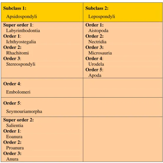 Table 2: Classification of amphibia  Subclass 1: 