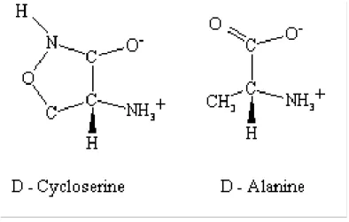 Fig. 12: Chemical structure of cycloserine and its analogue, D-alanine  Bacitracin  