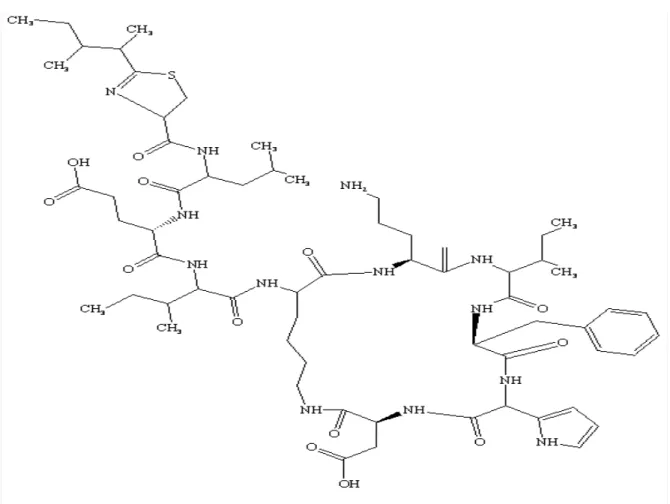 Fig. 13: Chemical structure of bacitracin 