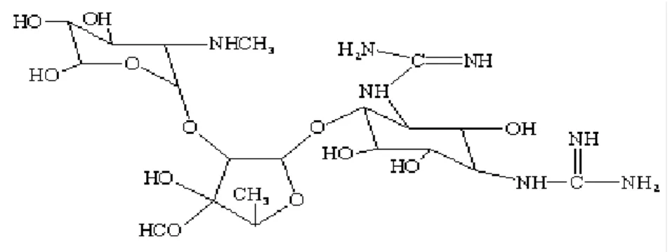 Fig. 21: Chemical structure of streptomycin 