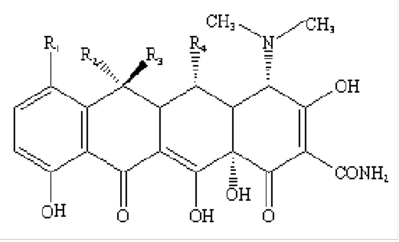 Fig. 22: Chemical structure of a tetracycline 
