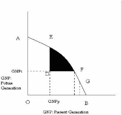 Figure 3: Trade-offs between intergenerational efficiency and equity 