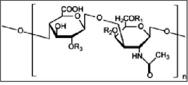Fig. 47: Chondroitin sulfate  