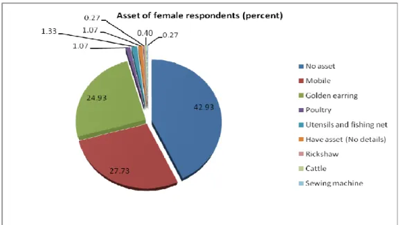 Figure 3: Assets of Male Respondents 