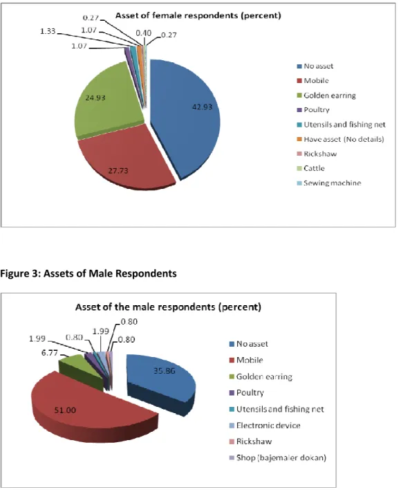 Figure 2: Assets of female respondents 
