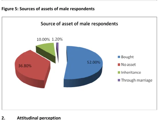 Figure 5: Sources of assets of male respondents 