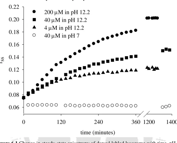 Figure 6.1 Change in steady-state anisotropy of dansyl labled lysozyme with time, pH 7,  40 M, open circles; pH 12.2, 4 M, filled triangles; pH 12.2, 40 M, filled squares; pH  12.2, 200 M, filled circles