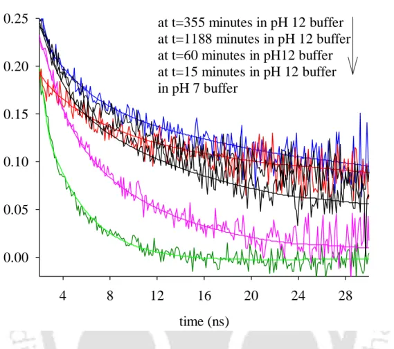 Figure 6.4  Overlay of anisotropy decay profiles of 40 M lysozyme in pH 7 buffer (in  green) and in pH 12 buffers respectively